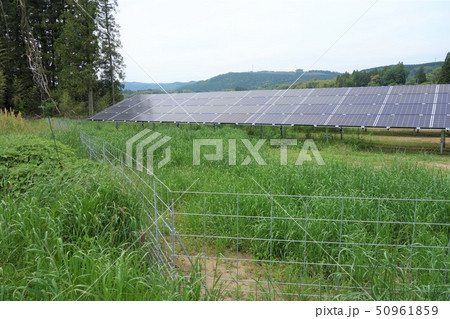 太陽光発電所と雑草 50961859