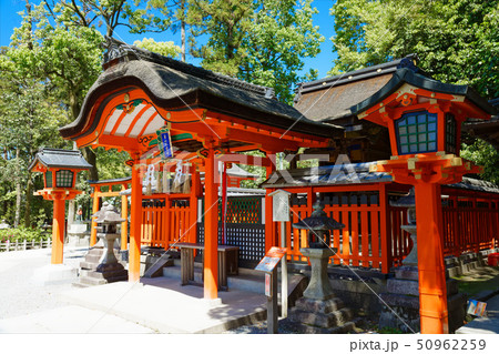 京都　伏見稲荷　 50962259