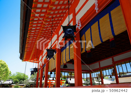 京都 伏見稲荷 京都 伏見稲荷 50962442