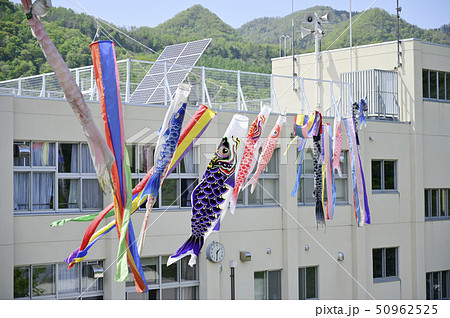 小学校の鯉のぼり(擬似空撮) 小学校の鯉のぼり(擬似空撮) 50962525