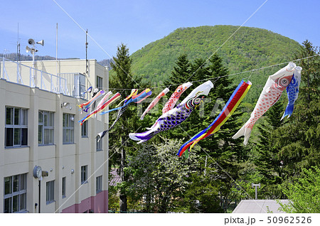 小学校の鯉のぼり(擬似空撮) 小学校の鯉のぼり(擬似空撮) 50962526