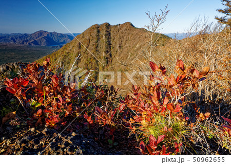 御坂山地・十二ヶ岳の紅葉と鬼ヶ岳 御坂山地・十二ヶ岳の紅葉と鬼ヶ岳 50962655