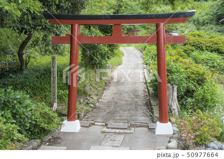 大蔵稲荷（鎌倉市雪ノ下） 50977664