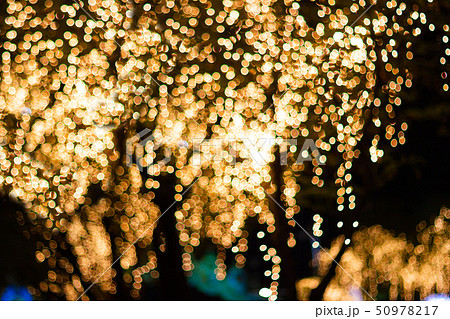 Blurred image Decorative outdoor string lights  50978217