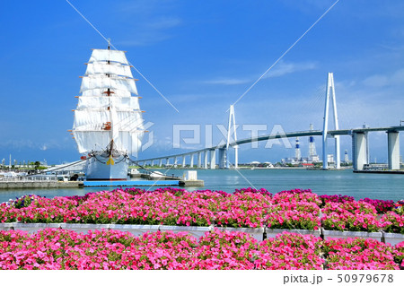 海王丸・総帆展帆 50979678