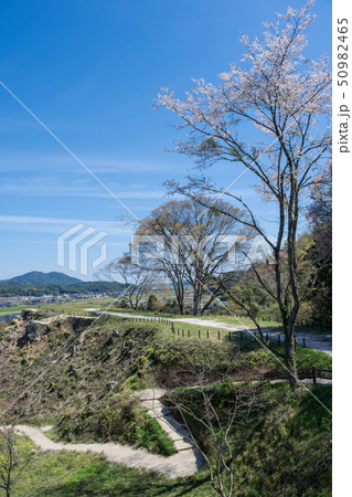 山城　月山富田城　春　 50982465