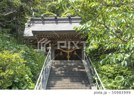 甘縄神明神社(鎌倉市長谷) 甘縄神明神社(鎌倉市長谷) 50983999