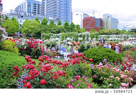 山下公園 山下公園 50984725