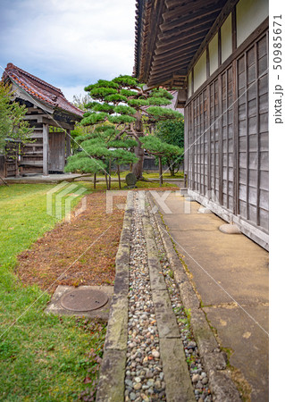 鶴岡市致道館 校内風景 鶴岡市致道館 校内風景 50985671