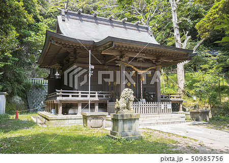 甘縄神明神社（鎌倉市長谷） 50985756