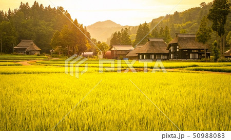 夏の農村風景 （荻ノ島環状集落の夕暮れ） 50988083
