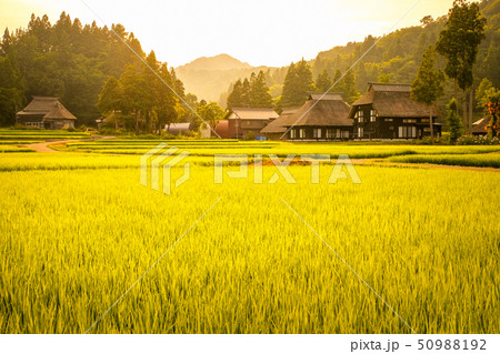 夏の農村風景 (荻ノ島環状集落の夕暮れ) 夏の農村風景 (荻ノ島環状集落の夕暮れ) 50988192