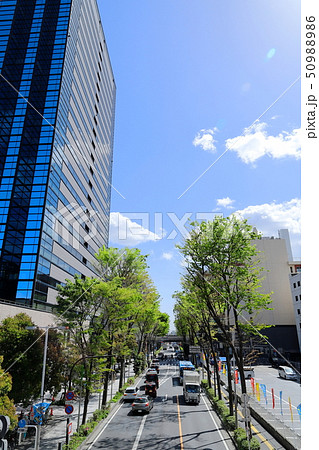 武蔵小杉駅前風景　新緑　縦位置 50988986