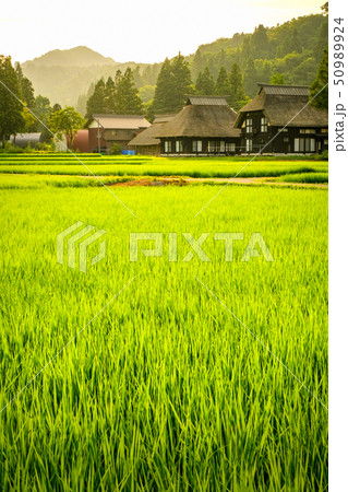 夏の農村風景 (荻ノ島環状集落の夕暮れ) 夏の農村風景 (荻ノ島環状集落の夕暮れ) 50989924