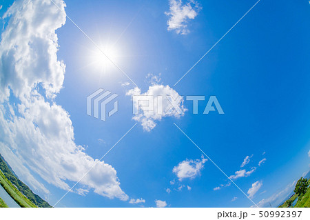 初夏の青空　魚眼レンズ 50992397