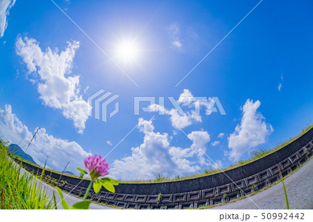 初夏の青空 魚眼レンズ 初夏の青空 魚眼レンズ 50992442
