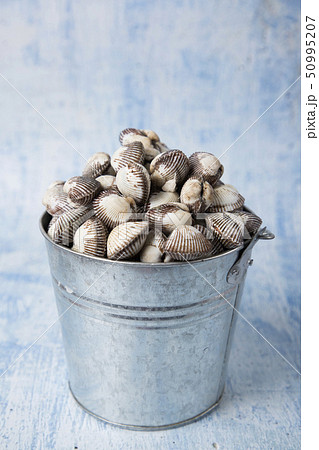 Close up of winter food ingredients Isolated on white background - salsify, oyster, mussel, shrimp and clam 140 50995207