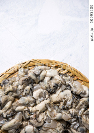 Close up of winter food ingredients Isolated on white background - salsify, oyster, mussel, shrimp and clam 088 50995209