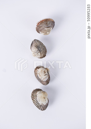 Close up of winter food ingredients Isolated on white background - salsify, oyster, mussel, shrimp and clam 128 50995283