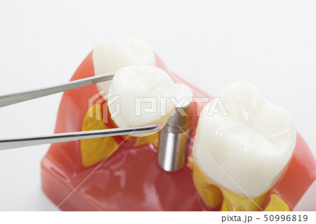 Medicine, health care both mentally and physically as medical concept 199 50996819
