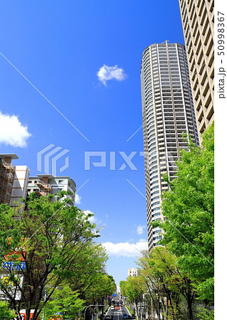 武蔵小杉駅前風景　新緑　縦位置 50998367