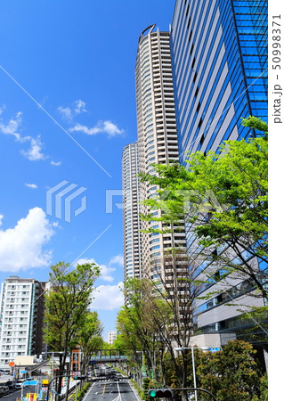 武蔵小杉駅前風景 新緑 縦位置 武蔵小杉駅前風景 新緑 縦位置 50998371
