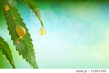 Green Cannabis Leaf Drug Marijuana Herb Backgroundのイラスト素材 Green Cannabis Leaf Drug Marijuana Herb Backgroundのイラスト素材