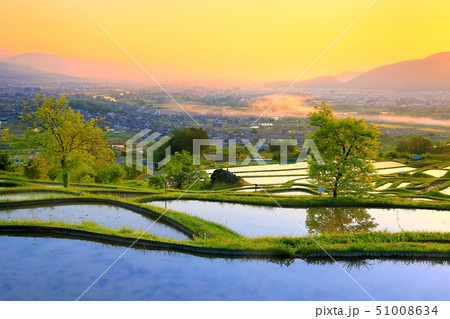 春の姨捨の棚田 51008634