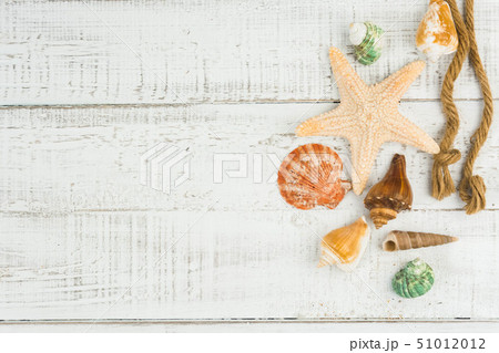 fish star and sea shells on the wooden background  51012012