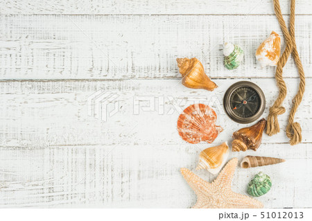 fish star and sea shells on the wooden background  51012013