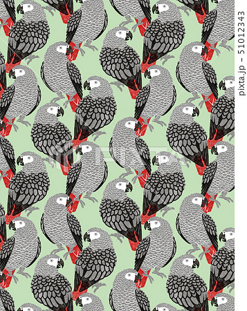 ヨウム 緑のイラスト素材