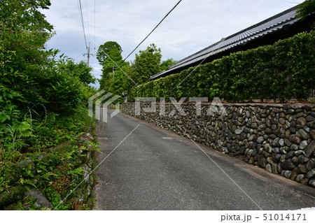 初夏の出水麓武家屋敷 51014171