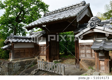 初夏の出水麓武家屋敷 初夏の出水麓武家屋敷 51014173