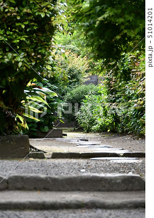 初夏の出水麓武家屋敷 初夏の出水麓武家屋敷 51014201