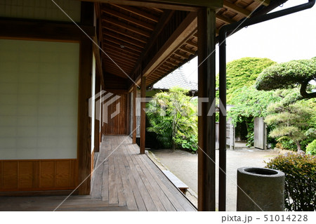 初夏の出水麓武家屋敷 51014228