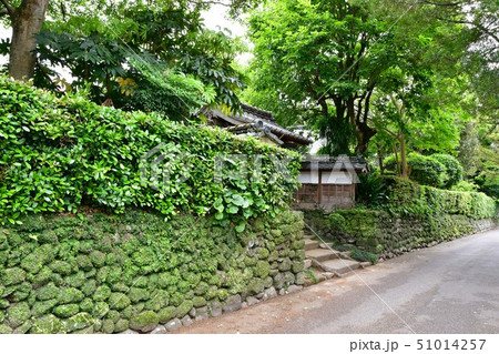初夏の出水麓武家屋敷 初夏の出水麓武家屋敷 51014257
