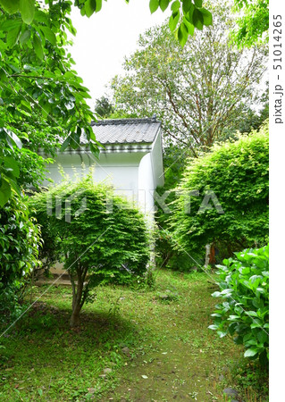 初夏の出水麓武家屋敷 初夏の出水麓武家屋敷 51014265