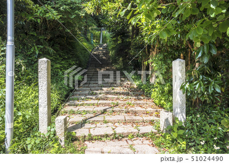 稲荷神社(鎌倉市台) 稲荷神社(鎌倉市台) 51024490