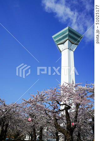 五稜郭タワー　五稜郭公園　函館市 51025177