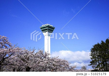 五稜郭タワー　五稜郭公園　函館市 51025179