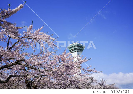 五稜郭タワー 五稜郭公園 函館市 五稜郭タワー 五稜郭公園 函館市 51025181