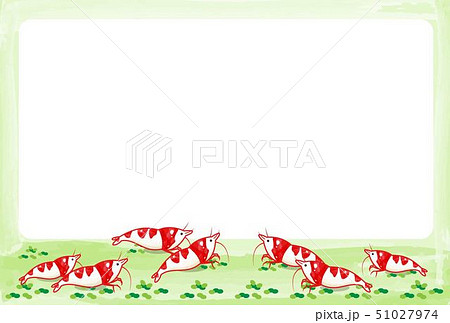 レッドビーシュリンプ 51027974