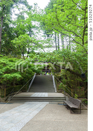 【神奈川県】北鎌倉　円覚寺の山門 51029274