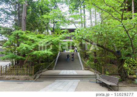 【神奈川県】北鎌倉 円覚寺の山門 【神奈川県】北鎌倉 円覚寺の山門 51029277