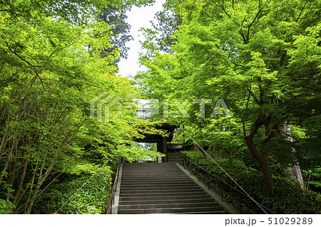 【神奈川県】北鎌倉　円覚寺の総門 51029289