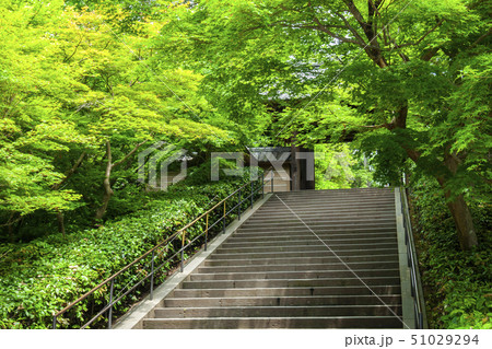 【神奈川県】北鎌倉　円覚寺の総門 51029294