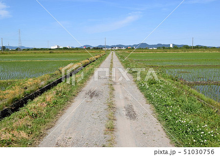 農道と田園風景 農道と田園風景 51030756