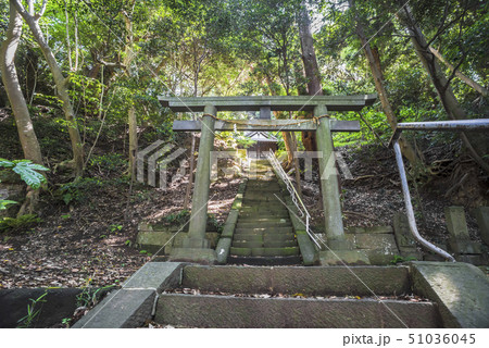 八幡神社（鎌倉市台） 51036045