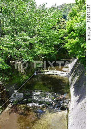 仙巌園 島津家別邸 大名庭園 仙巌園 島津家別邸 大名庭園 51041157