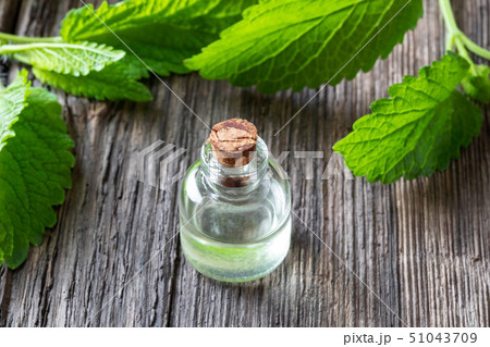 A bottle of melissa essential oil with melissa 51043709